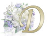 2004d 3
